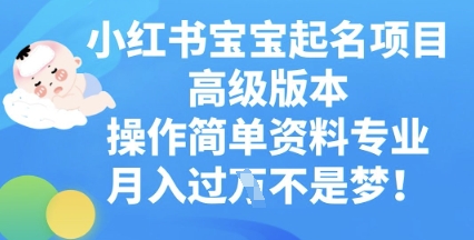 小红书宝宝起名项目高级版本，操作简单，资料专业，月入过W-馬上搞钱