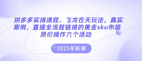 拼多多实操课程,飞龙在天玩法,真实案例,直播全流程链接的黄金sku布局原价操作六个活动-馬上搞钱