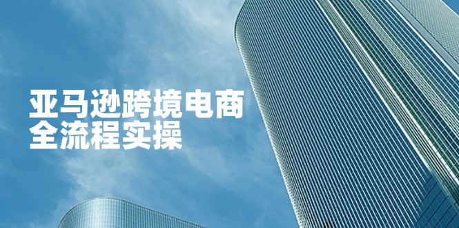 （14252期）亚马逊跨境电商全流程实操，教你从零开始，掌握店铺运营与广告技巧-馬上搞钱
