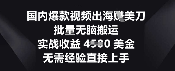 国内爆款视频出海挣美刀，批量无脑搬运，实战收益4.5k，无需经验直接上手-馬上搞钱