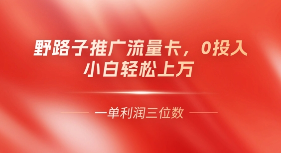 0门槛推广流量卡，一单收益上百，0投入，小白月入过W-馬上搞钱