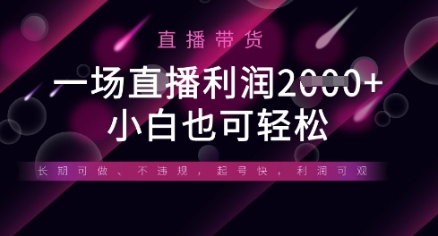 半无人直播带货，一场利润数张，适合所有平台玩法，小白也可轻松-馬上搞钱