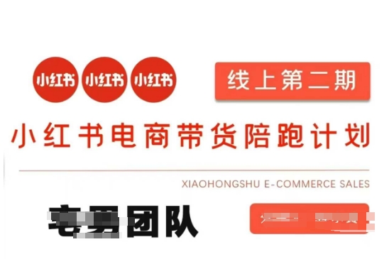 小红书电商带货课2期，月利润20个的小红书电商的有货源，无货源，虚拟产品，付费投流等整套玩法-馬上搞钱